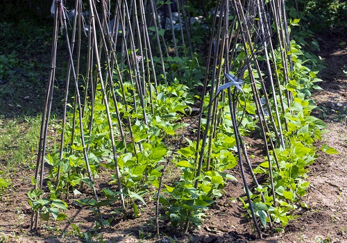 觀測(cè)土壤溫濕變化，首推土壤墑情測(cè)量儀