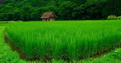土壤墑情記錄儀的應(yīng)用功不可沒(méi)