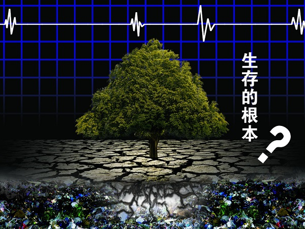 土壤重金屬嚴(yán)重超標(biāo)，土壤修復(fù)離不開土壤檢測儀